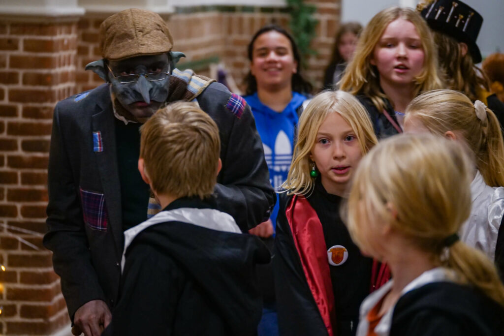 Information om verden og roller til Den Magiske Skole Aarhus
